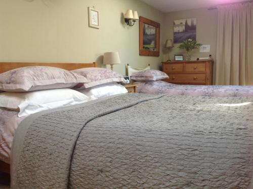 B&B Great Dunmow - Motts Bed & Breakfast - Bed and Breakfast Great Dunmow