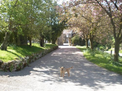 Lastingham Grange - image 8