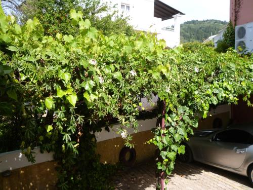 Kostas studios - image 2