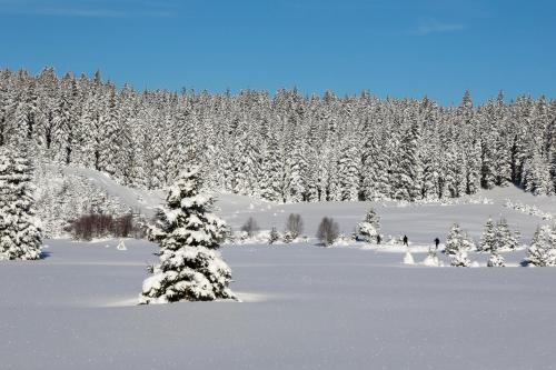 Pension Arnika in โมดราวา