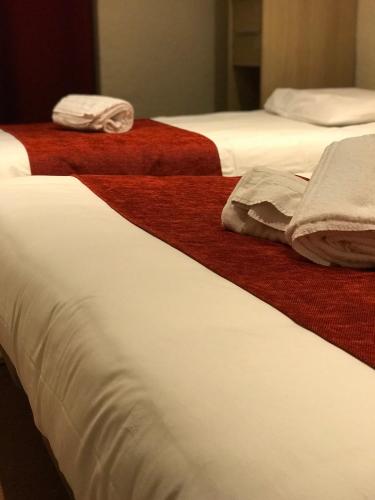 Hotel de Bretagne - image 3