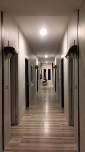 Nest hostel lipe in City Center
