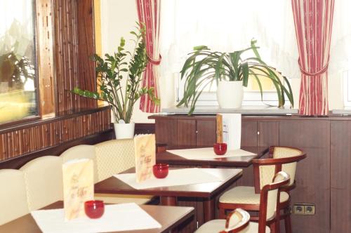 Hotel Alfa Zentrum - image 11