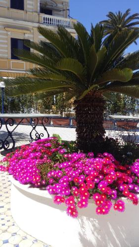 Villa La Terrazza