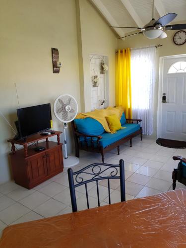 Spacious Colonial, Bridgetown (foto 9)