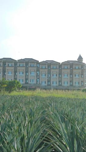 Sanxing Hall Homestay in Minxiong Township