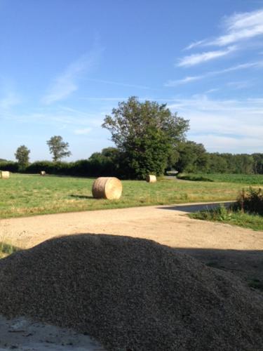 Létesítmények, La Foret in Alloue