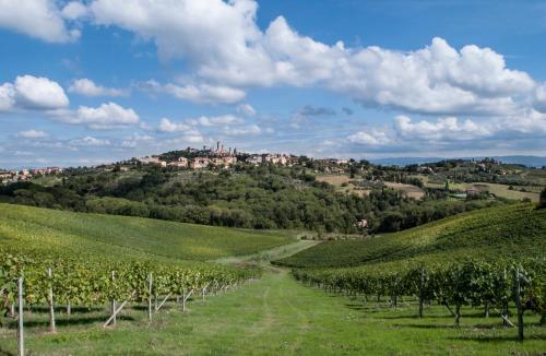 B&B Ponte a Nappo San Gimignano