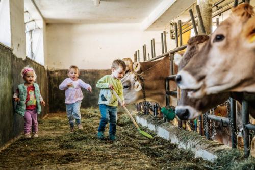 林哈特霍夫酒店