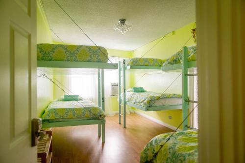 The Big Island Hostel - image 3