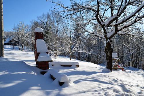 Holiday Home Coprnička Hiša
