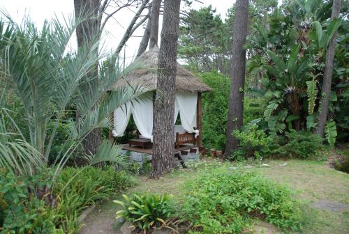El Delfin - image 4