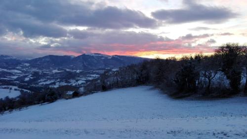 Agriturismo Al Respiro Nel Bosco