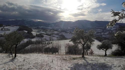 Agriturismo Al Respiro Nel Bosco