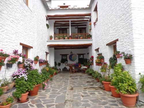 Estrella de las Nieves - image 11