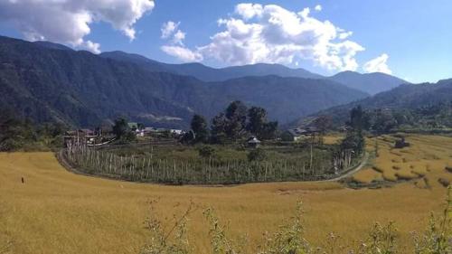 Vamoose Bhutia Homestay - image 4