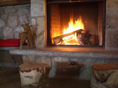 Agriturismo Le Radici - image 3