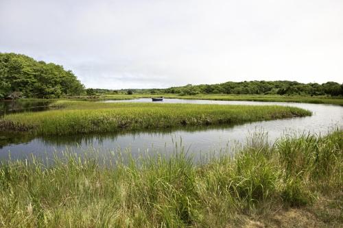Bay Watch - main image