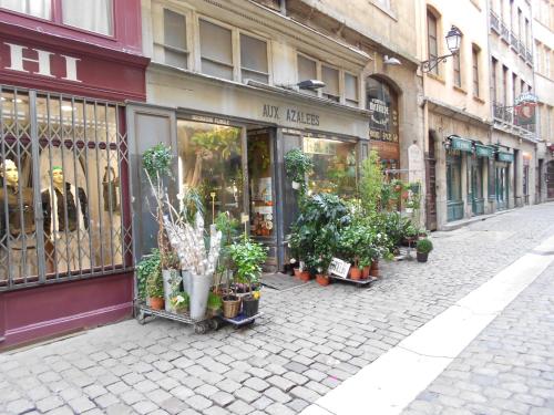Gîte du Vieux Lyon, Lyon