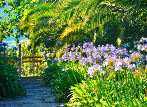 Hotel Quinta de San Amaro - image 2