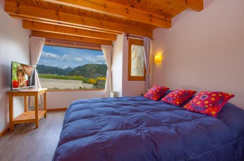 1 king bed, 2 sofa beds