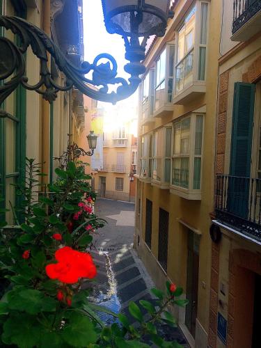 Apartamento Mon Chéri 5