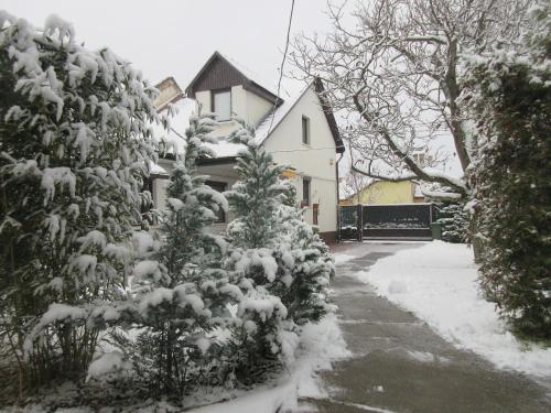 Sissi Residence with free parking lot, Budapest (photo 5)