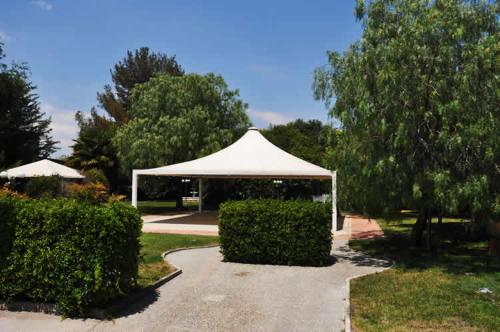 Hotel Holiday - image 5