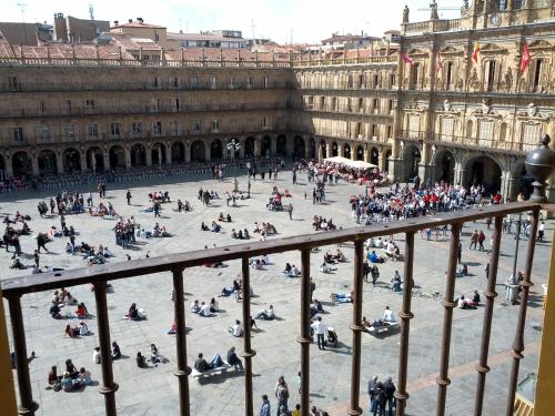 Almuerzo y tapas en Plaza Mayor