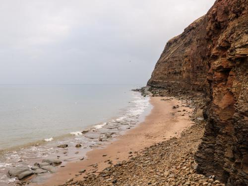 Lady Bird Retreat, Saltburn-by-the-Sea