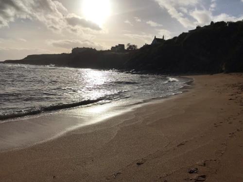 外部景觀, Sandpipers in 克雷爾