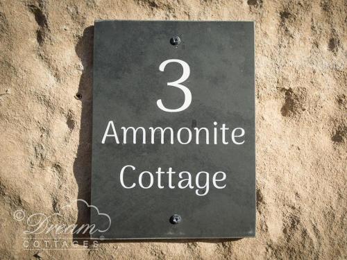 Ammonite Cottage 4