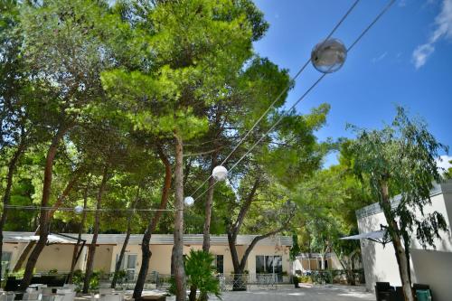 Sira Resort - image 8