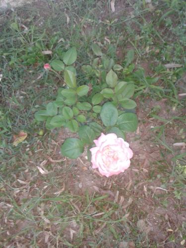 Kilátás, Villa ALEX in Slatina