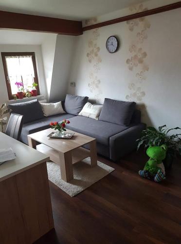 Froeschlein - no craftsmen fitters, Ilmenau (photo 2)