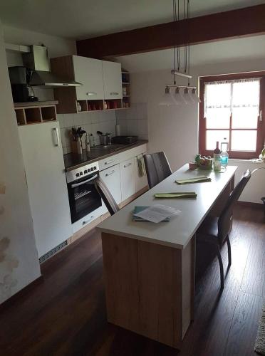 Froeschlein - no craftsmen fitters in Ilmenau