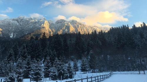 Gold House - image 4