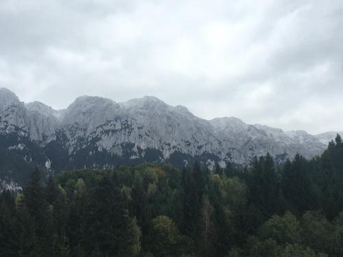 Gold House - main image