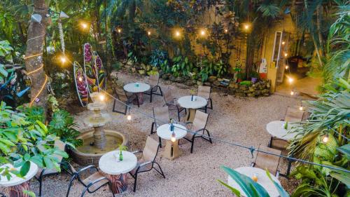 . El Sano Banano Beachside Hotel