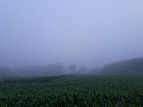 Panna Kalong in Chiang Khong (Chiang Rai)