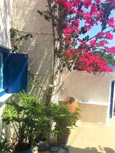  Naxos Village Retreat, Koronos in Kóronos