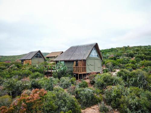 Фасада на хотела, Harmony Luxury Tents & Safari in Uitenhage Farms