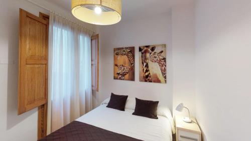 Apartamentos Edificio Palomar - image 3