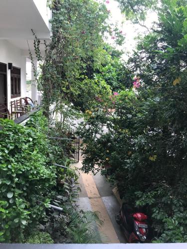 Unawatuna Beach Bungalow -