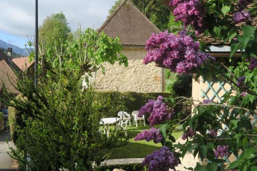 la Fraceline - Location saisonnière - Saint-Pierre-d'Entremont