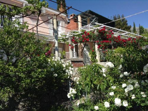  Guest House Luce Roses in Mlini