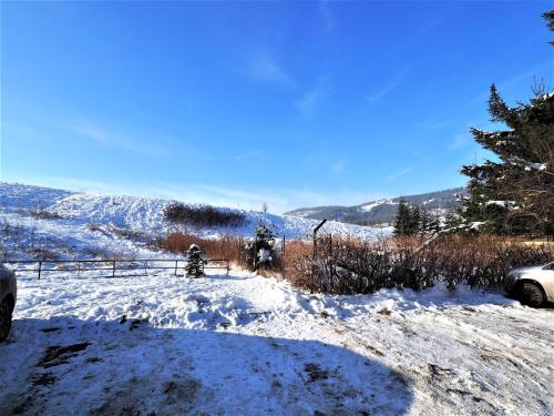 VIP Apartamenty Kasprusiowy Zakatek - image 4