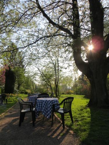 Hotel-Café Schauinsland - Horn-Bad Meinberg