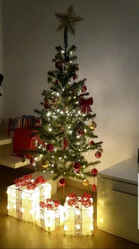 Spanish Steps 3 Bedrooms Cozy,Elegant and central, Roma (foto 7)
