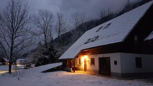 Apartment Sonce - Bohinj